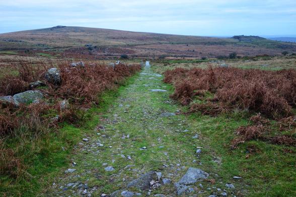 A slightly elevated, eye-level shot captures a narrow, grassy and stony path winding through a vast, open moorland under an overcast sky. The path, covered in short green grass with scattered grey stones, recedes into the distance, framed on both sides by dense patches of dried, reddish-brown bracken and longer green grasses. To the left, a few large grey rocks are partially visible amongst the vegetation. The landscape beyond the immediate foreground stretches out in a subtle upward slope, revealing rolling hills covered in similar muted tones of brown and green. A distant hill with a more pronounced peak is visible on the horizon, hinting at the expansive and rugged nature of the terrain. The overall impression is one of solitude and natural wildness.