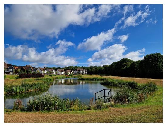 A pond with houses in the background with a lovely blue sky and clouds.