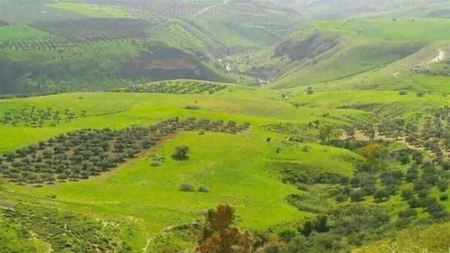 مناشدات للرؤساء الثلاثة.. &quot;مزارع شبعا لبنانية&quot;!
