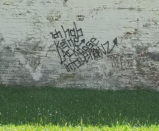 Graffiti an einer Mauer vor einer Wiese: "Ich habe keine Lackdose Intoleranz"