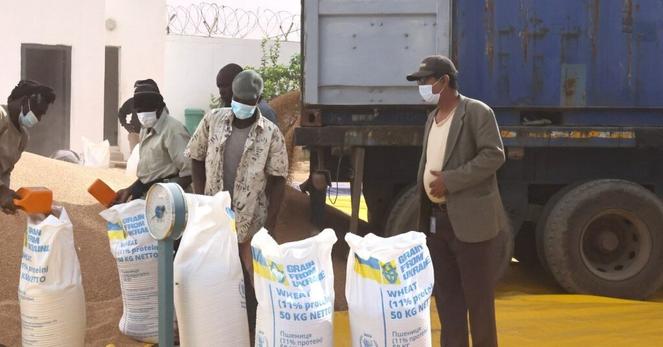 焦点:ウクライナ、対ロシア戦の一環でアフリカ諸国に接近 食糧支援が軸 | ロイター