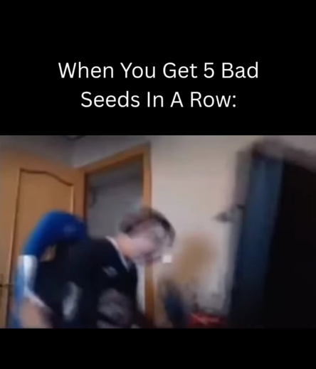 Y'all ever go seed hunting?