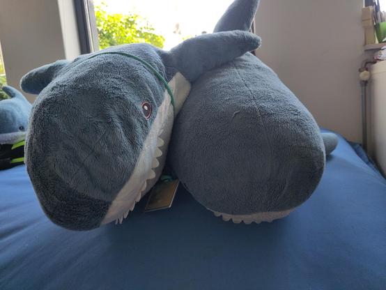 Two Blåhaj cuddly sharks sitting on a soft blue surface. One Blåhaj cuddles the other and has a side fin on their back. The Blåhaj that soothes the other Blåhaj also has a key cord around their neck with a Dutch OV-chipkaart on it.

That is helpful, Hapi, lets hope the plushies have useful tips!