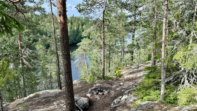 A narrow path over rocks between pine trees with glimpses of a lake in the distance
