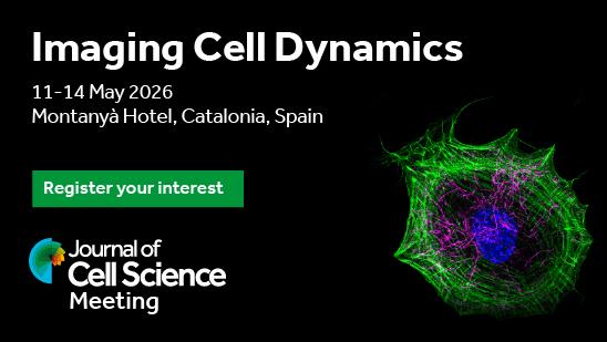 Journal of Cell Science Meeting
Imaging Cell Dynamics
11-14 May 2026
Montanyà Hotel, Catalonia, Spain
Register your interest