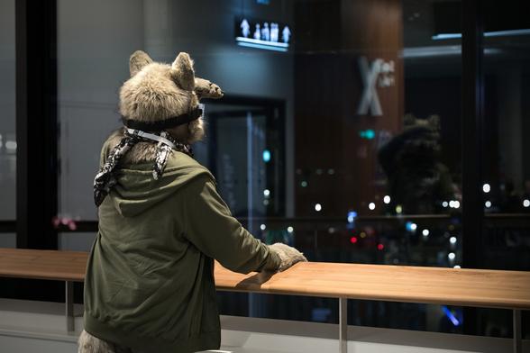 Photo of a wolf fursuiter standing at the railing and looking into the dark night outside the window. A slight reflection of him can be seen.