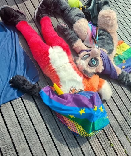 Fursuit photo of Loimu the Fox lying on a wooden pier with his paws stretched out and with a pride flag draping over his snoot covering his head. Lehti, a raccoon dog, lays next to him looking quite tired as well.