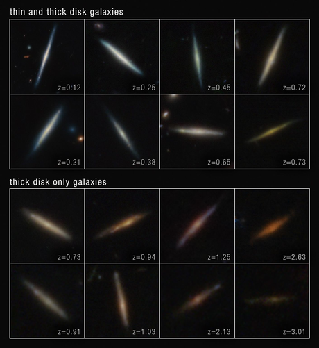 From source in toot: Two mosaics of 8 each images each, in 2 rows, of edge-on disk galaxies observed by the James Webb Space Telescope. The mosaic at the top is titled “thin and thick disk galaxies.” The bottom is titled “thick disk only galaxies.” Each disk galaxy is centered within a square frame and lies against the black background of space. They appear as thin lines with a slight bulge in their centers. A few of the galaxies are horizontal or vertical, but many are angled diagonally. The thin and thick disk galaxies are overall whiter and brighter compared to the thick disk only galaxies, which are fainter and brown-orange. Text in the bottom right of each box lists the galaxy’s redshift. From left to right, the first row of the top mosaic reads z =0.12; z = 0.25; z = 0.45; and z = 0.72. The second row reads z = 0.21; z = 0.38; z =0.65; and z = 0.73. The top row of the bottom mosaic reads z = 0.73, z = 0.94; z = 1.25; and z = 2.63. The bottom row reads z = 0.91; z = 1.03; z = 2.13; and z = 3.01.