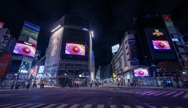 電子音楽とデジタルクリエイティビティの祭典「MUTEK.JP 2025」が10周年。11月に東京・渋谷で開催