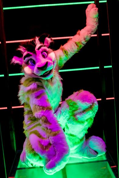Fibre, a white tiger with green stripes, kneels down, facing sideways, with one knee to the ground, and one paw to the ground. He's in a very dark room with colorful neon strips in the background, in a small metal box frame that's lit from the top and bottom with red and green colors. He's turned to the side, but looking at the camera. One handpaw is against the ground, stabilizing him, while the other handpaw is reaching up above him to grab the top of the frame.