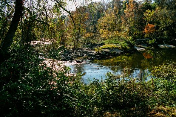 View across a wooded area with a creek running through it.