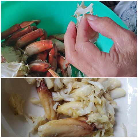 A top-down, two-panel composition. The top panel shows crab legs in a vibrant, turquoise plastic bowl, capturing a close-up view of a hand delicately removing meat from a broken crab shell. The lower panel provides a close-up view of the extracted crab meat nestled in a white bowl.
