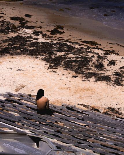 Person with long hair sitting on wooden steps, overlooking a sandy beach with dark patches of seaweed, and gentle waves approaching the shore.