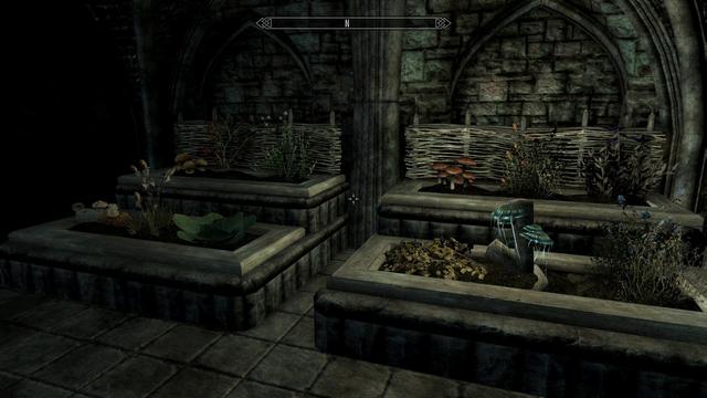 Stone garden boxes. Indoors. Each has a different plant in each plot growing.
