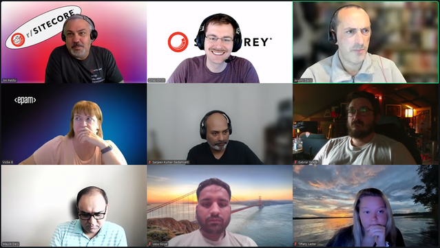 Screenshot of attendees on the June 27, 2025 #SitecoreLunch call.