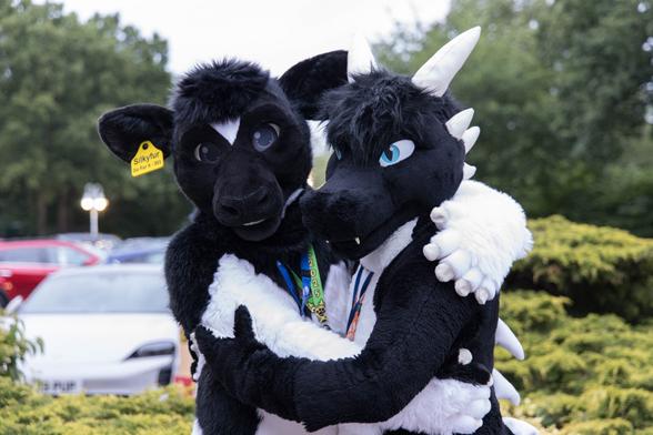 Two black and white fursuiters; a bovine and a dragon are standing side by side, hugging each other.