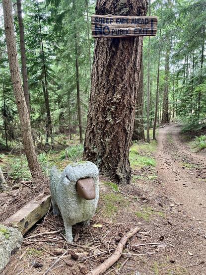Carpet (possibly) and stone sheep stands in front of a sheep farm drive and a large pine tree. The tree has a sign posted on it, Sheep Farm Ahead, NO Public Exit