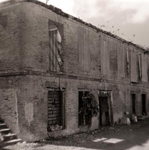 Black and white photograph of a derelict brick two story building. Sunlight is can be seen shining through the upper left missing window coming from a missing roof, the rest of the second floor windows are boarded up. A large tropical plant is growing out of the lower center window.