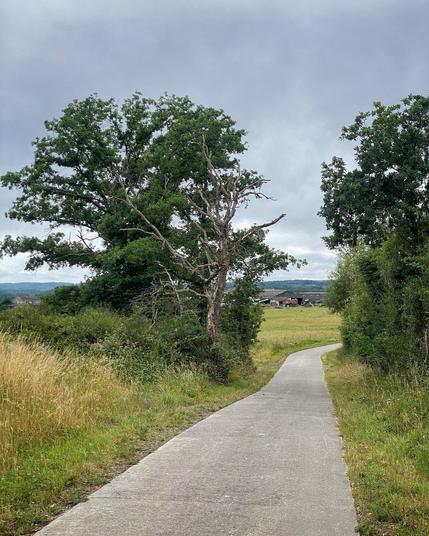 Schmale, ruhige Straße zwischen Bäumen hindurch und Blick auf weite Mittelgebirgslandschaft