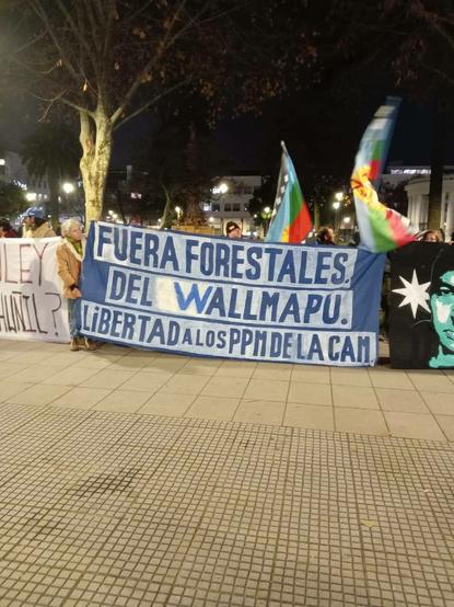 Fotografía de lienzo que dice Fuera Forestales del Wallmapu. Libertad a los PPM de la CAM.