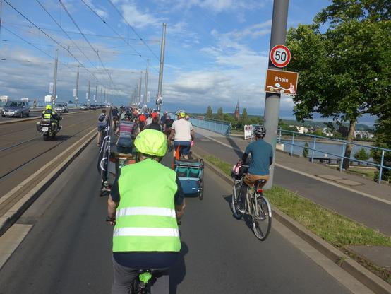 Menschen auf Fahrrädern fahren über eine Brücke über den Rhein (Kennedybrücke Bonn)