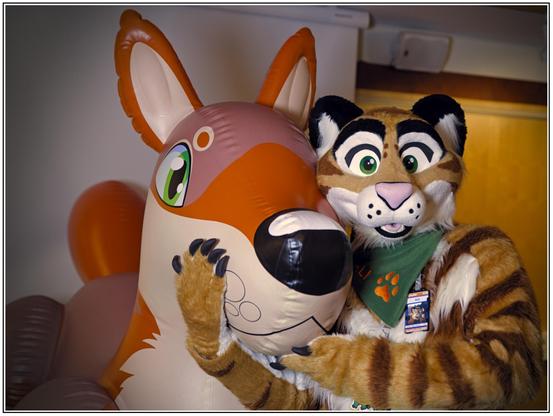 A tiger fursuiter giving a hug to the snoot of a rather big inflatable coyote toy