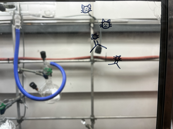 line-bond drawings of acetone but the O has a tiny cat face drawn on it. This is on the glass panel of a fume hood. A Schlenk line and Strauss bomb are visible in the background