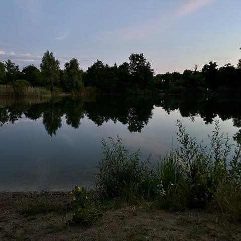 Am Ufer eines kleinen Sees in der Abenddämmerung. Schilf und Bäume auf der gegenüberliegenden Seeseite spiegeln sich auf der glatten Wasseroberfläche. Am Himmel noch ein leicht beleuchteter Wolkenstreifen.