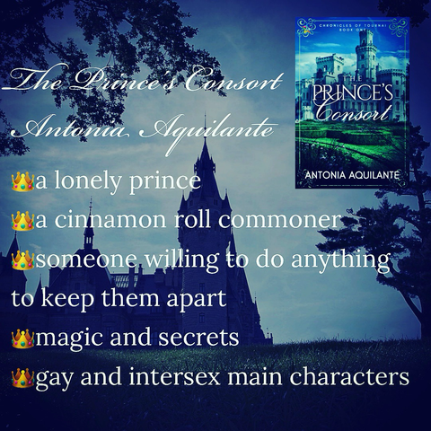 The Prince’s Consort  Antonia Aquilante  -a lonely prince  -a cinnamon roll commoner  -someone willing to do anything to keep them apart  -magic and secrets -gay and intersex main characters