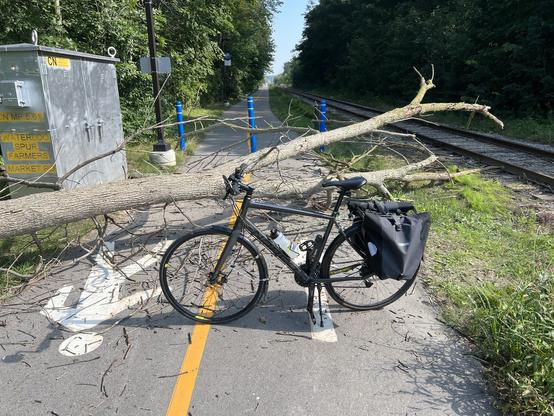 In the foreground, a dark grey bike is parked across a multi-use path. Right behind it, a tree has fallen across the path. In the background, the path recedes into the distance, and there are trees in either side of it. On the right, a railroad track parallels the path.