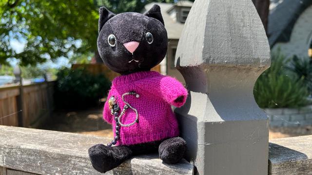 a cobwebbed & pink sweater adorned black cat plush toy sits on the edge of a wood fence in the summer sun
