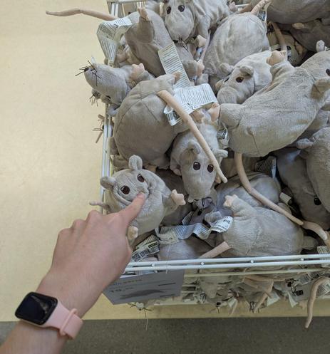me booping an ikea rat plushie so hard it hides its head