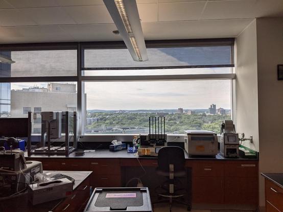 Science Lab on the 11th floor with a window over the bench that is the entire wall above the bench. Trees and foliage in the distance and some buildings far away