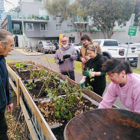 Community gardeners gathers around a group of wicking beds