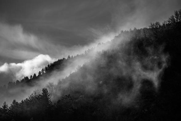 Brume dans le Tarn https://photos.lisiecki.fr/2025/dsc07082/ #blackandwhite #bnwphotography #photographie #bnw #bw #noiretblanc #photography #bwphoto #photographie #bwphotography #photodujour #picoftheday #mountain #montagne #landscape #paysage #travelphotography #travel #voyage