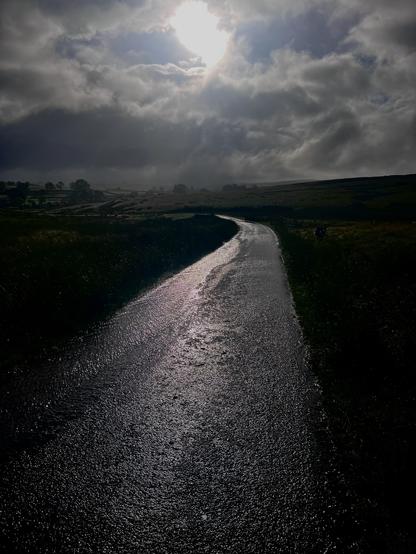 The return road, glistening in the emerging sun with a dug by the side