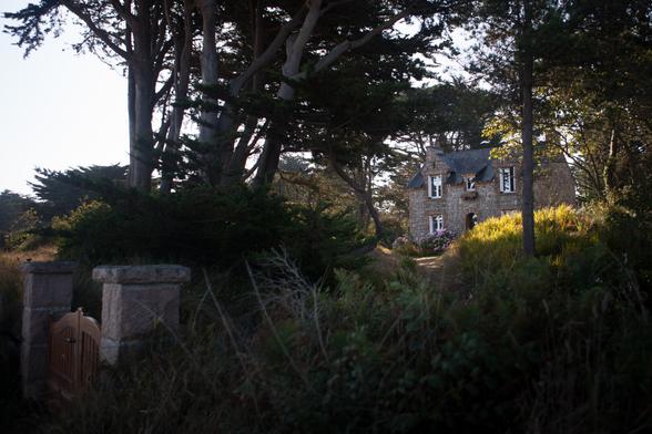 A quaint stone house nestled among tall trees and greenery, with a winding path leading to it.