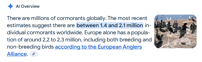 Google AI Overview saying "There are millions of cormorants globally. The most recent estimates suggest there are between 1.4 and 2.1 million individual cormorants worldwide. Europe alone has a population of around 2.2 to 2.3 million, including both breeding and non-breeding birds according to the European Anglers Alliance. " It is accompanied by a picture of cormorants (or perhaps something else entirely. Honestly, at this point: who knows?).
