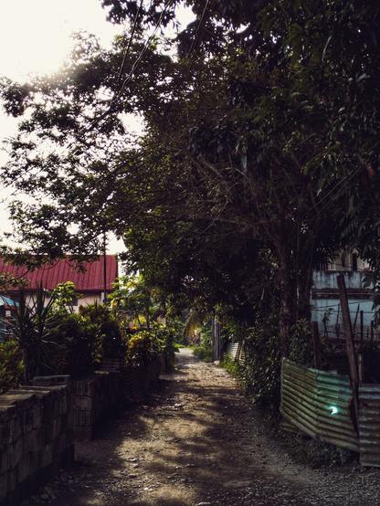 A sun-dappled, unpaved path winds through a lush, tree-lined alleyway in what appears to be a rural or village setting. Bright sunlight filters through the overhead canopy, casting strong shadows on the ground, while simple houses and fences are visible on either side. - Google Gemini 2.5 Pro