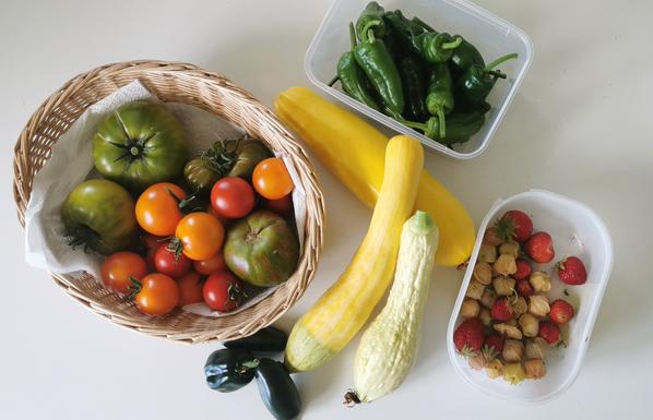 Des tomates et des courgettes et des poivrons et des fraises et des physalis sur une table et ça fait tout plein de la couleur