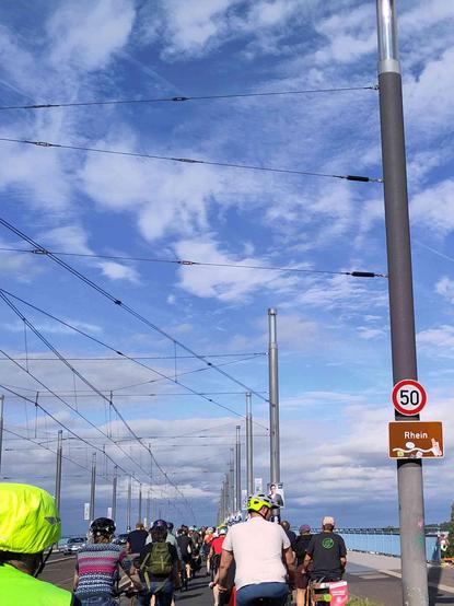 Viele Radfahrende bei blau-weißem Himmel auf einer Brücke, rechts an einer Laterne ein Fünfziger-Schild und eine Hinweistafel für den Rhein.