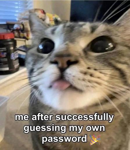 Close up photo of a silly cat with its tongue sticking out.

me after successfully guessing my own password 🎉