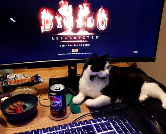 A desk with a keyboard, a mousemat, a screen, a drink and a black & white handsome cat lying on it.