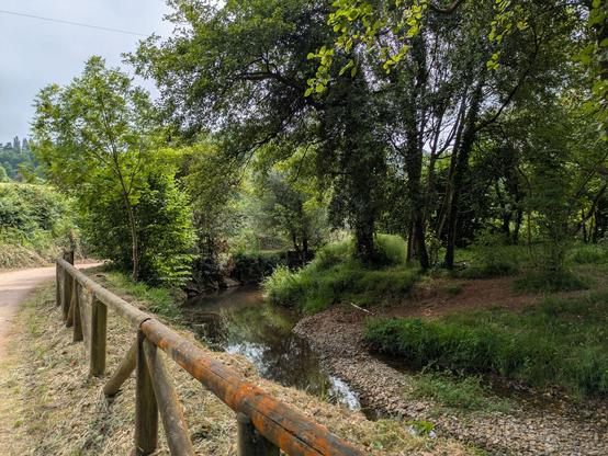 Paisaje de un camino de tierra junto a un riachuelo con arboles