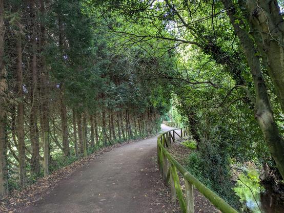 Paisaje de un camino de tierra junto a un riachuelo con arboles