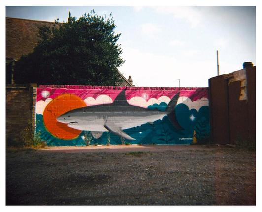 Colourful film photograph showing a mural of a great white shark painted on a brick wall.
