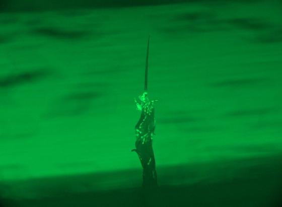 green and black picture of a tower-like structure made from multiple thin worms