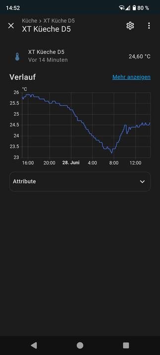 Screenshot HomeAssistent. Temperatur Küche seit 10 Uhr bei 24,6 Grad
Trotz 32 Grad Außentemperatur und 50 Mal Balkontür auf/zu