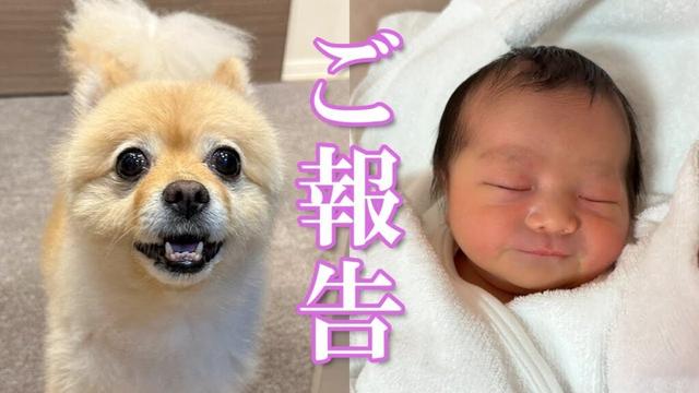 【ご報告】新しい家族が増えました！