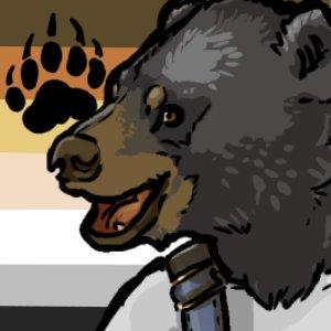 A glacier bear with the bear pride flag behind him